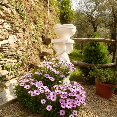 Casa Vacanze Sole Borghetto d'Arroscia エクステリア 写真